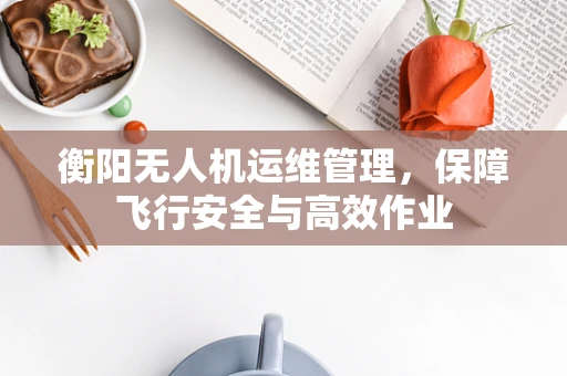 衡阳无人机运维管理，保障飞行安全与高效作业