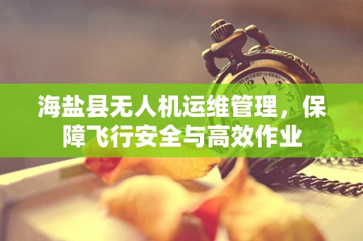 海盐县无人机运维管理，保障飞行安全与高效作业