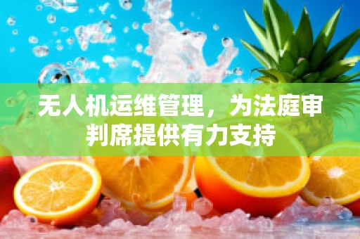 无人机运维管理，为法庭审判席提供有力支持