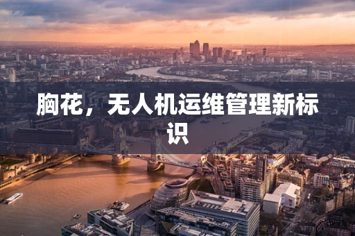 胸花，无人机运维管理新标识