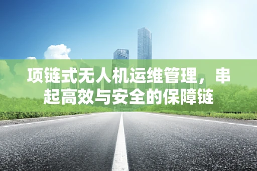 项链式无人机运维管理，串起高效与安全的保障链