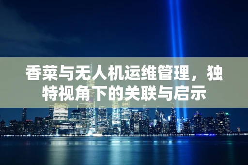 香菜与无人机运维管理，独特视角下的关联与启示