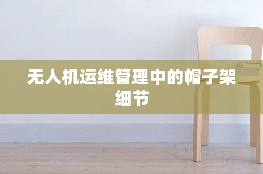 无人机运维管理中的帽子架细节