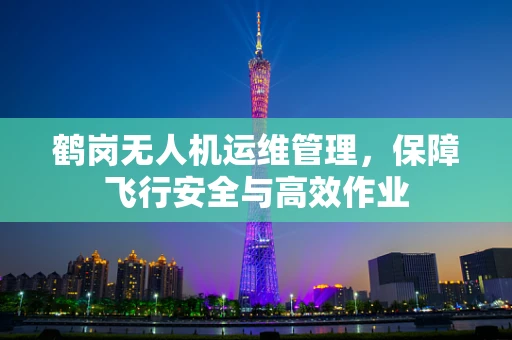 鹤岗无人机运维管理，保障飞行安全与高效作业