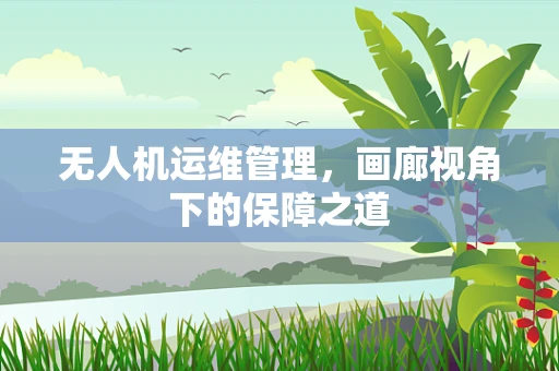 无人机运维管理，画廊视角下的保障之道