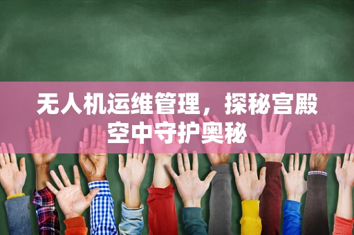 无人机运维管理，探秘宫殿空中守护奥秘