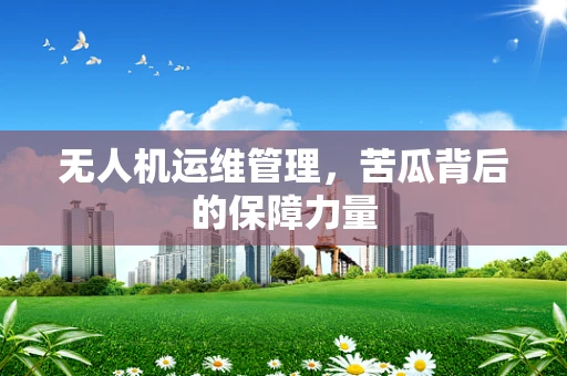 无人机运维管理，苦瓜背后的保障力量
