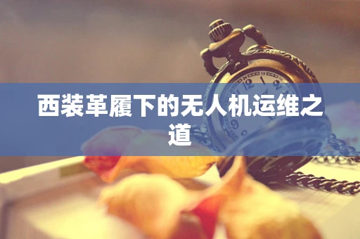 西装革履下的无人机运维之道