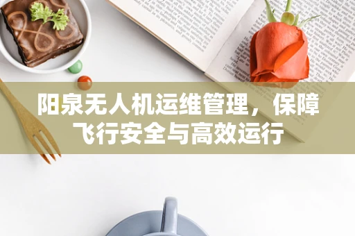 阳泉无人机运维管理，保障飞行安全与高效运行