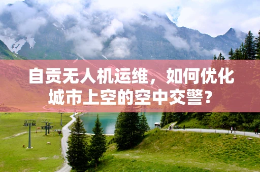 自贡无人机运维，如何优化城市上空的空中交警？