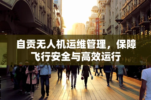 自贡无人机运维管理，保障飞行安全与高效运行