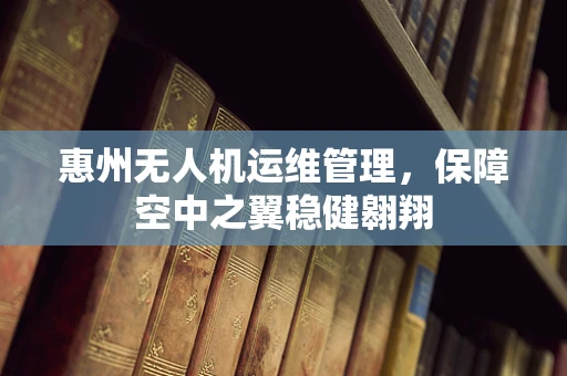 惠州无人机运维管理，保障空中之翼稳健翱翔