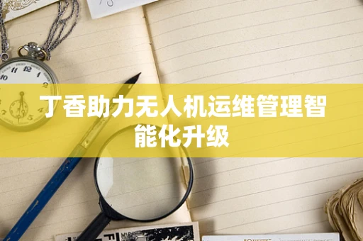 丁香助力无人机运维管理智能化升级