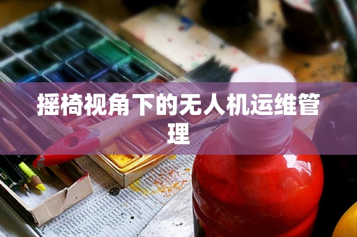 摇椅视角下的无人机运维管理