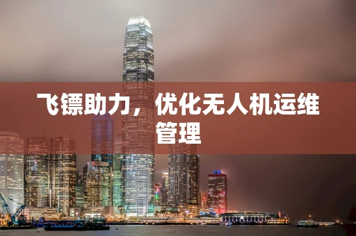 飞镖助力，优化无人机运维管理