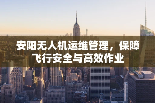 安阳无人机运维管理，保障飞行安全与高效作业