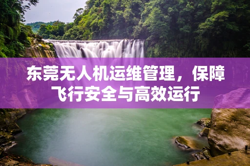 东莞无人机运维管理，保障飞行安全与高效运行