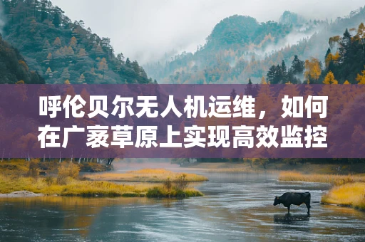 呼伦贝尔无人机运维，如何在广袤草原上实现高效监控？