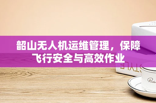 韶山无人机运维管理，保障飞行安全与高效作业