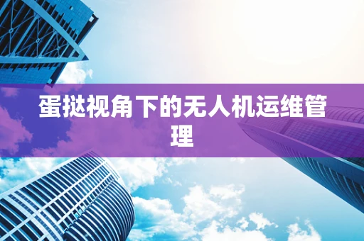 蛋挞视角下的无人机运维管理