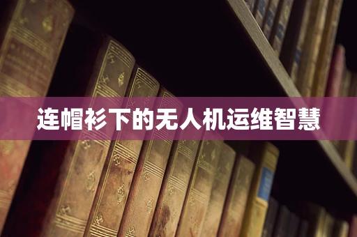 连帽衫下的无人机运维智慧