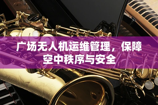 广场无人机运维管理，保障空中秩序与安全