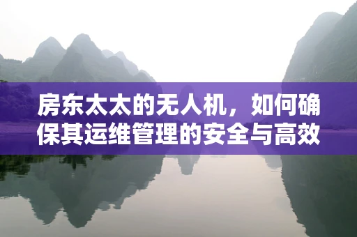 房东太太的无人机，如何确保其运维管理的安全与高效？