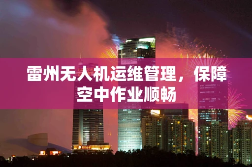 雷州无人机运维管理，保障空中作业顺畅