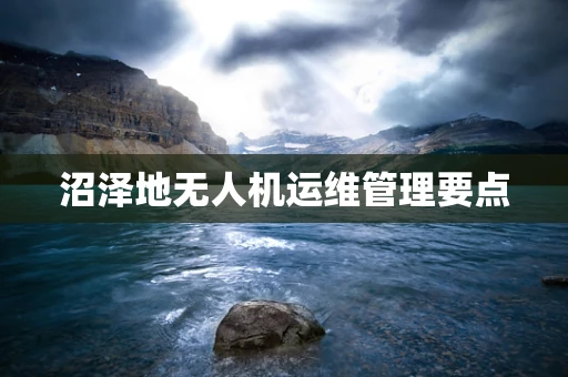 沼泽地无人机运维管理要点