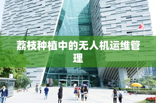 荔枝种植中的无人机运维管理