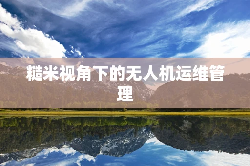 糙米视角下的无人机运维管理