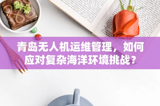 青岛无人机运维管理，如何应对复杂海洋环境挑战？