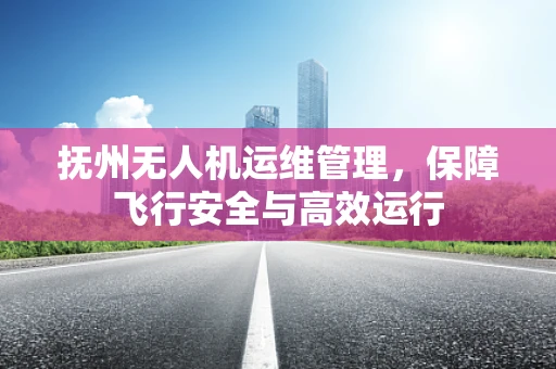 抚州无人机运维管理，保障飞行安全与高效运行