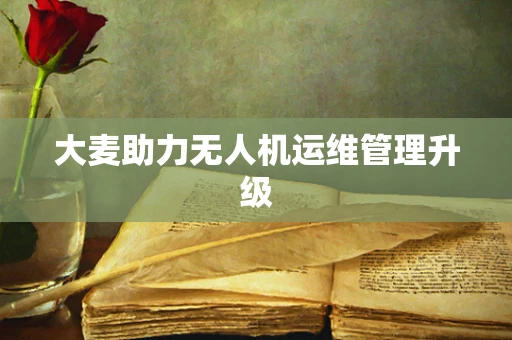 大麦助力无人机运维管理升级