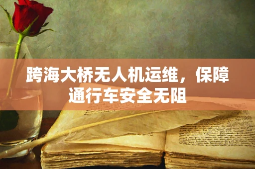 跨海大桥无人机运维，保障通行车安全无阻