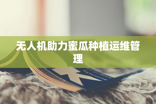 无人机助力蜜瓜种植运维管理