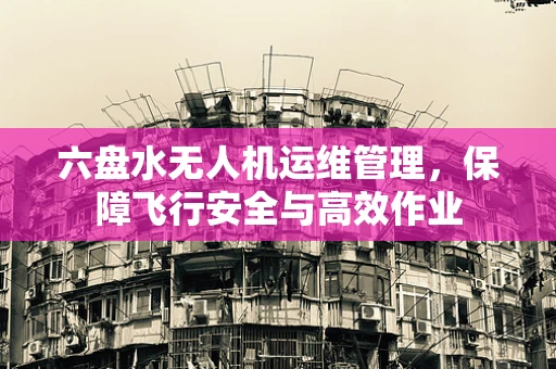 六盘水无人机运维管理，保障飞行安全与高效作业
