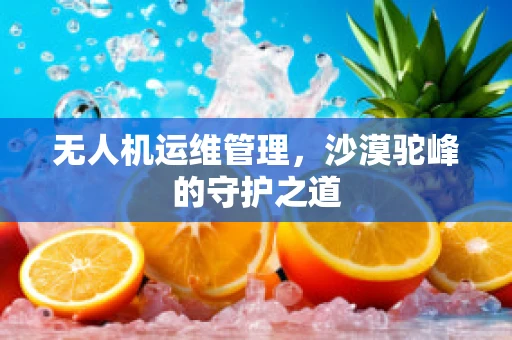 无人机运维管理，沙漠驼峰的守护之道