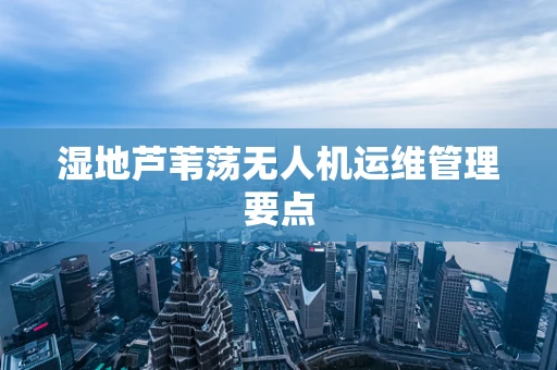 湿地芦苇荡无人机运维管理要点