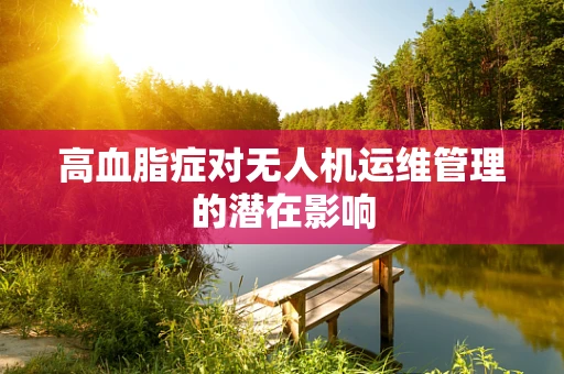 高血脂症对无人机运维管理的潜在影响