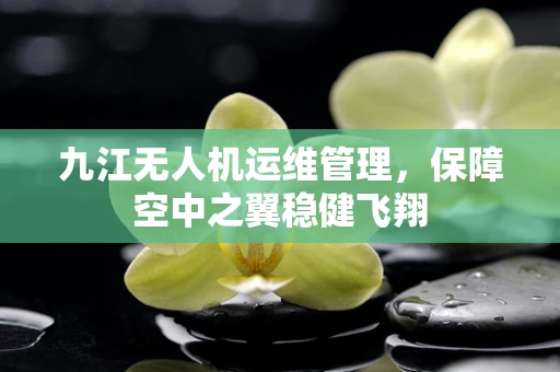 九江无人机运维管理，保障空中之翼稳健飞翔