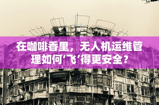 在咖啡香里，无人机运维管理如何‘飞’得更安全？