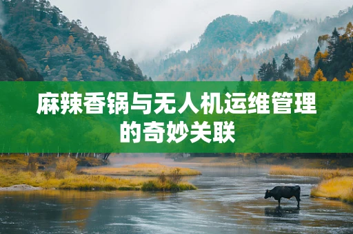 麻辣香锅与无人机运维管理的奇妙关联