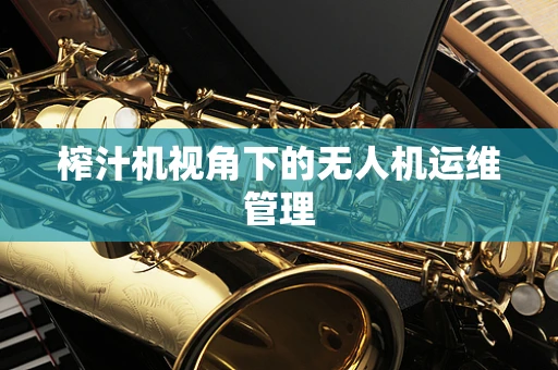 榨汁机视角下的无人机运维管理