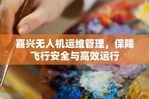 嘉兴无人机运维管理，保障飞行安全与高效运行