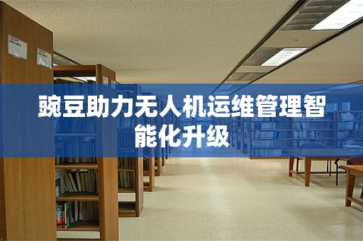 豌豆助力无人机运维管理智能化升级