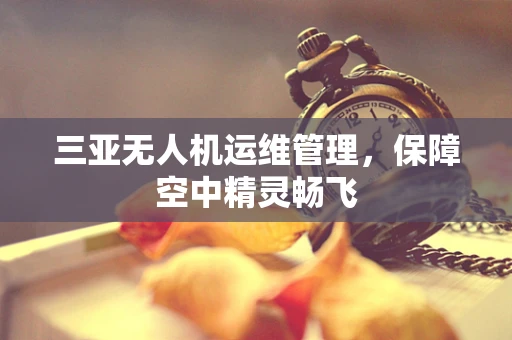 三亚无人机运维管理，保障空中精灵畅飞