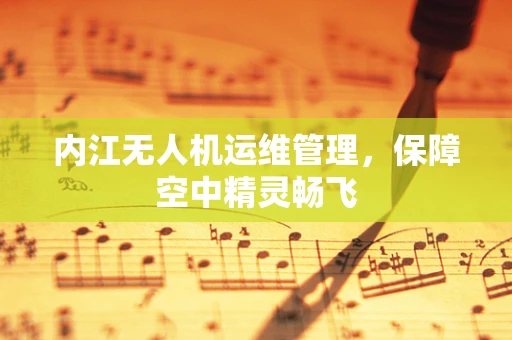 内江无人机运维管理，保障空中精灵畅飞