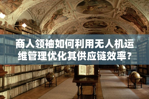 商人领袖如何利用无人机运维管理优化其供应链效率？