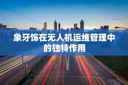 象牙饰在无人机运维管理中的独特作用